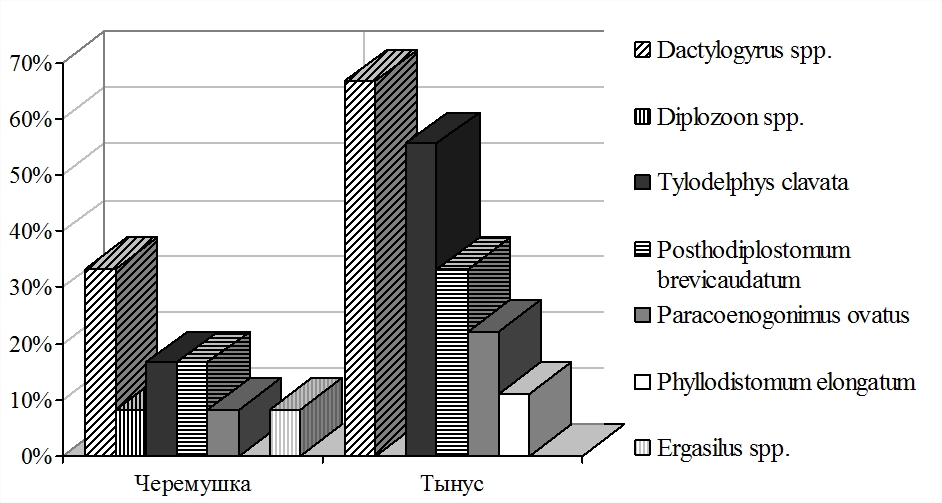 Паразитофауна щуки в озерах Черемушка и Тынус Спасского района Рязанской области